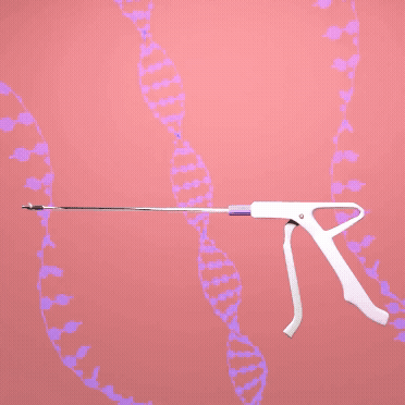 Adobe Express – Gynae2