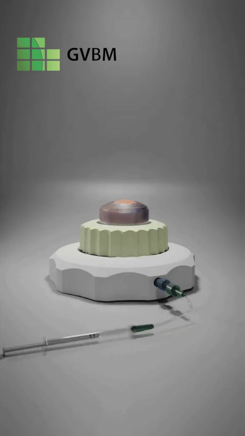 ezgif-7046568f55f736b4